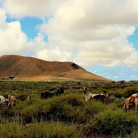 La Casa Del Molino Corralejo